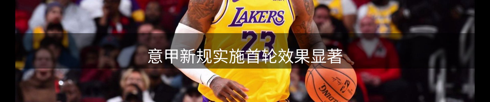 新闻动态