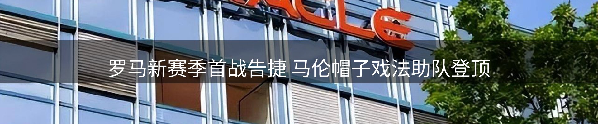 新闻动态