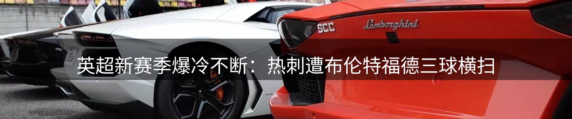 新闻动态