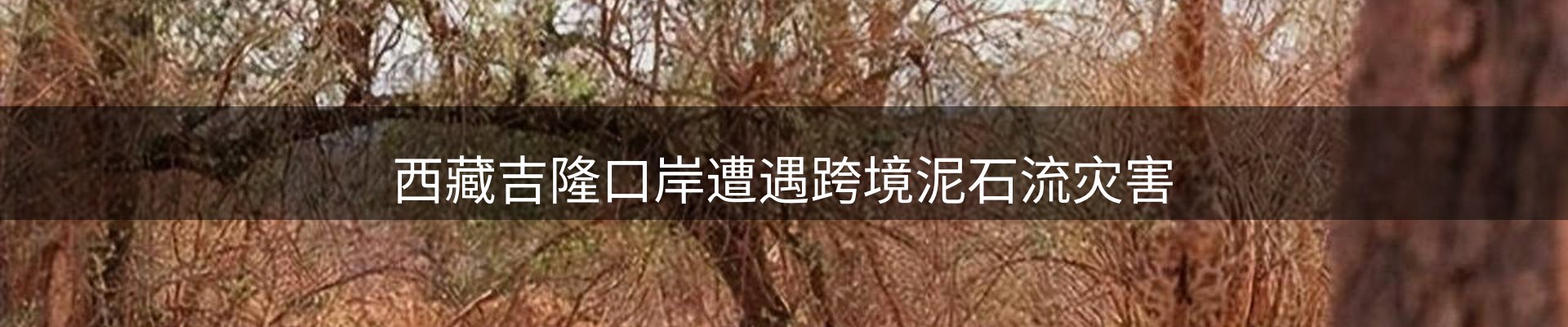 本周热点