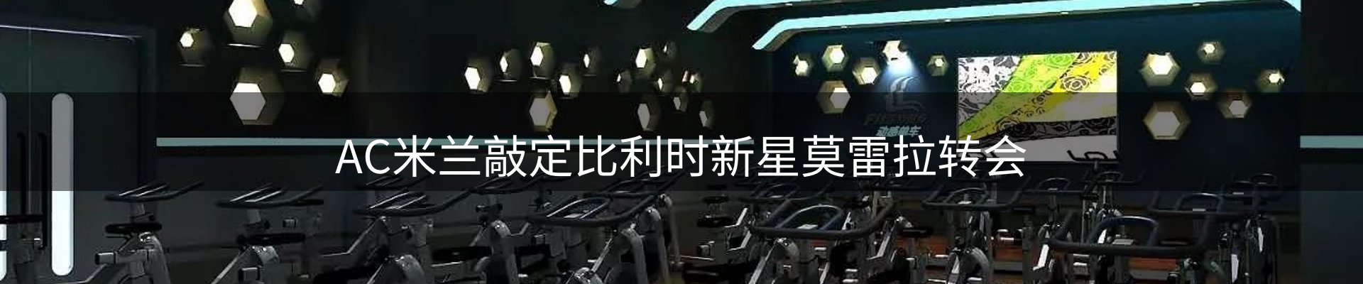新闻动态